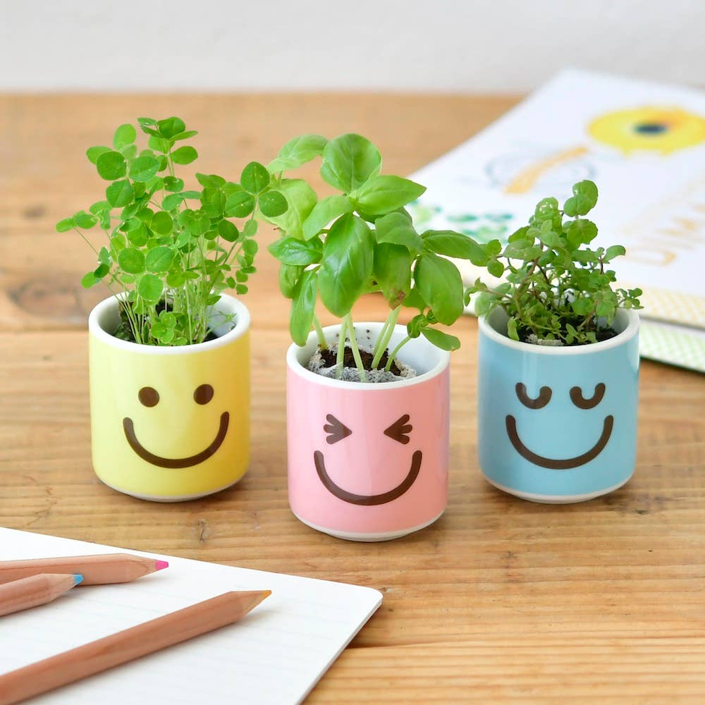 Happy Plant - Assorted 3 Styles