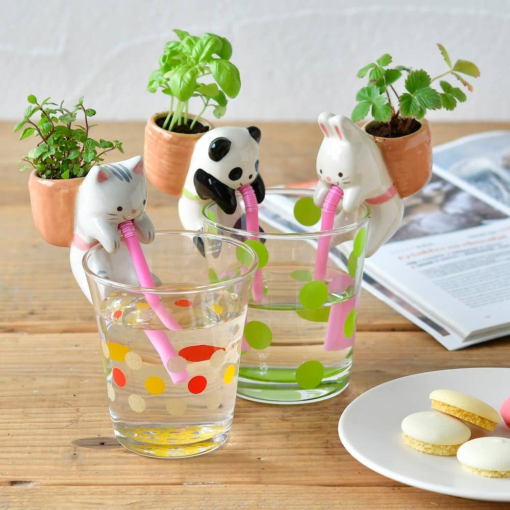 Chuppon - Assorted 3 Styles