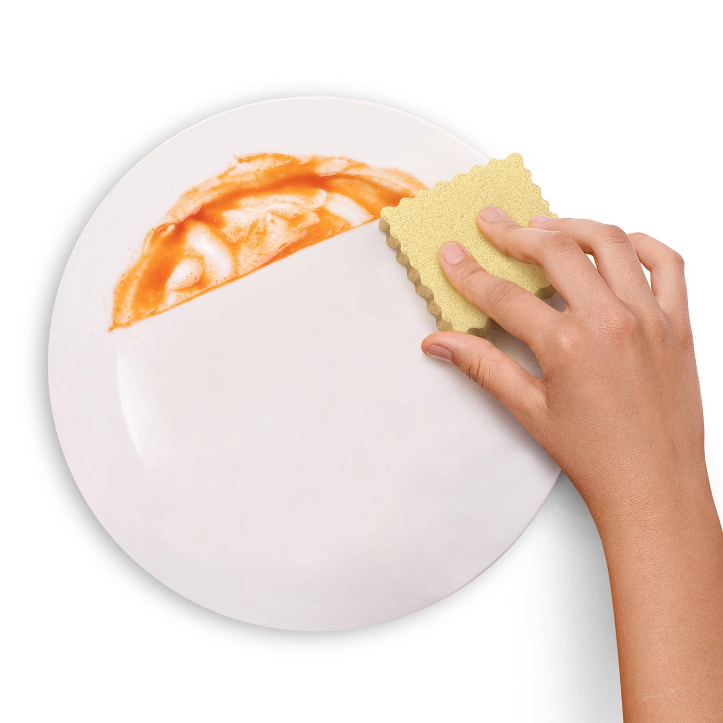 Sponges - Spongioli - Set of 6 - Ravioli Compressed Sponges