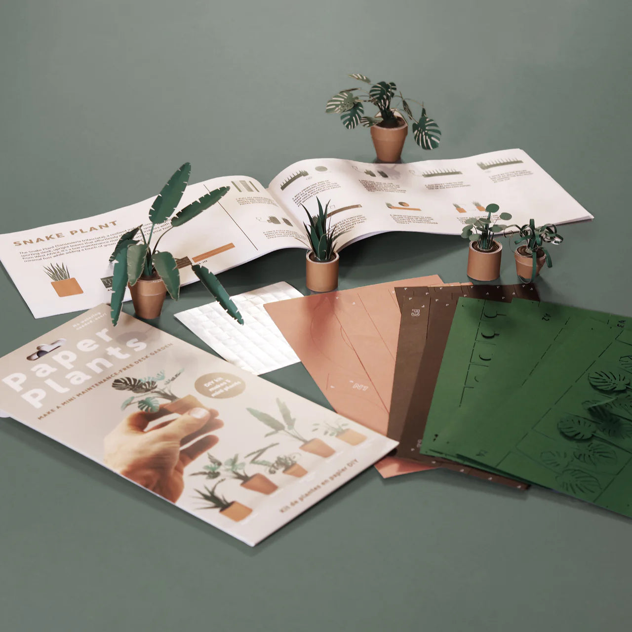Paper Plants - Paper Craft Kit