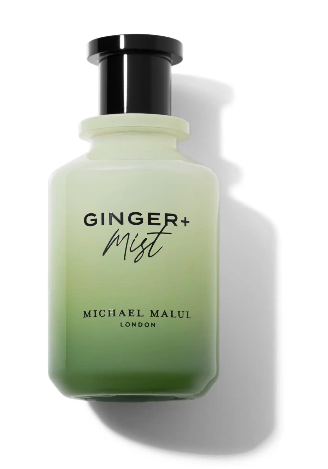 GINGER + MIST by Michael Malul