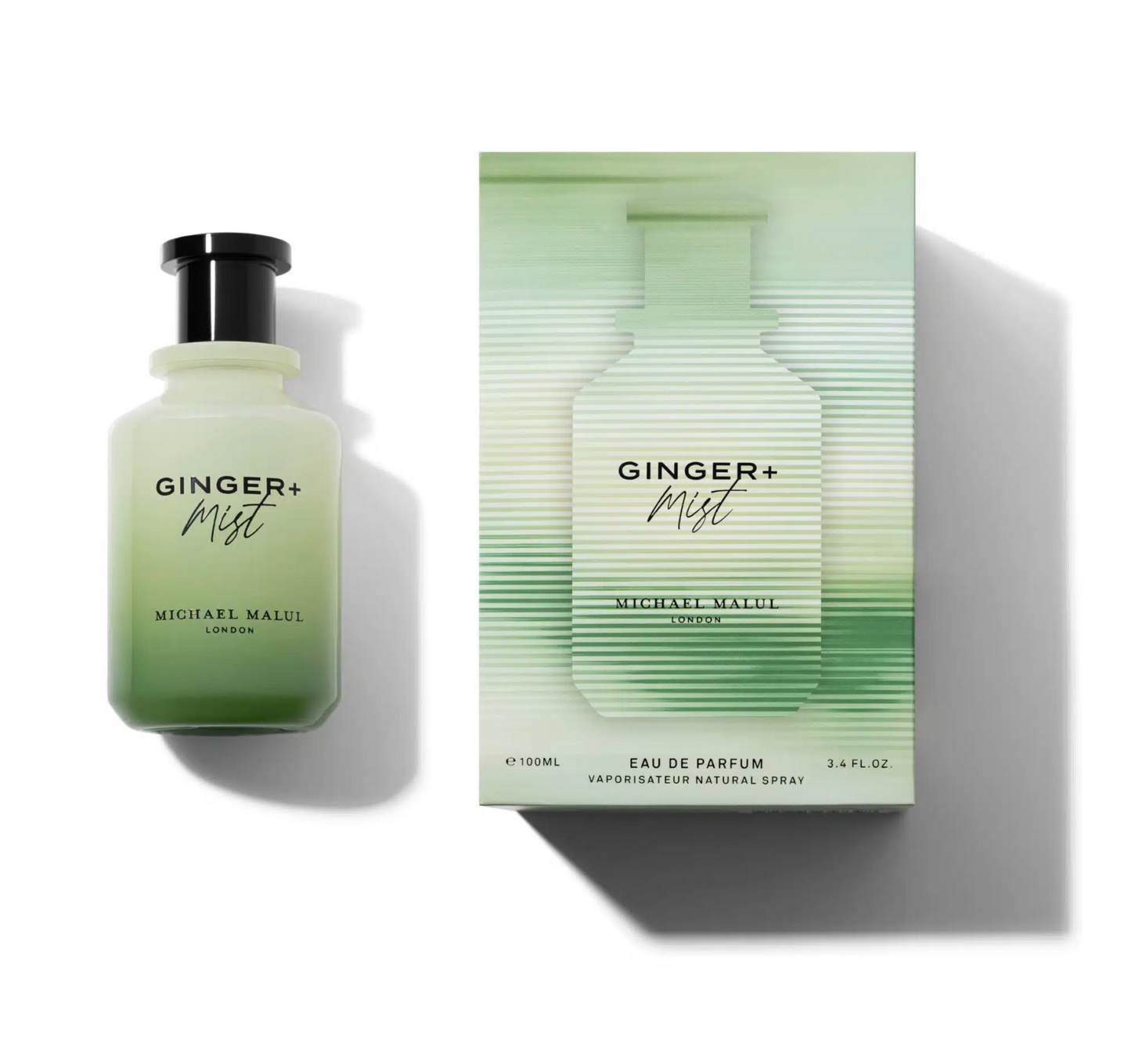GINGER + MIST by Michael Malul