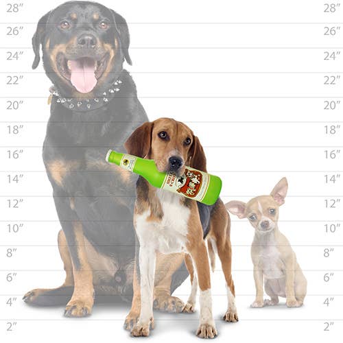 Silly Squeaker Beer Bottle SmellaRCrotch, Squeaky Dog Toy