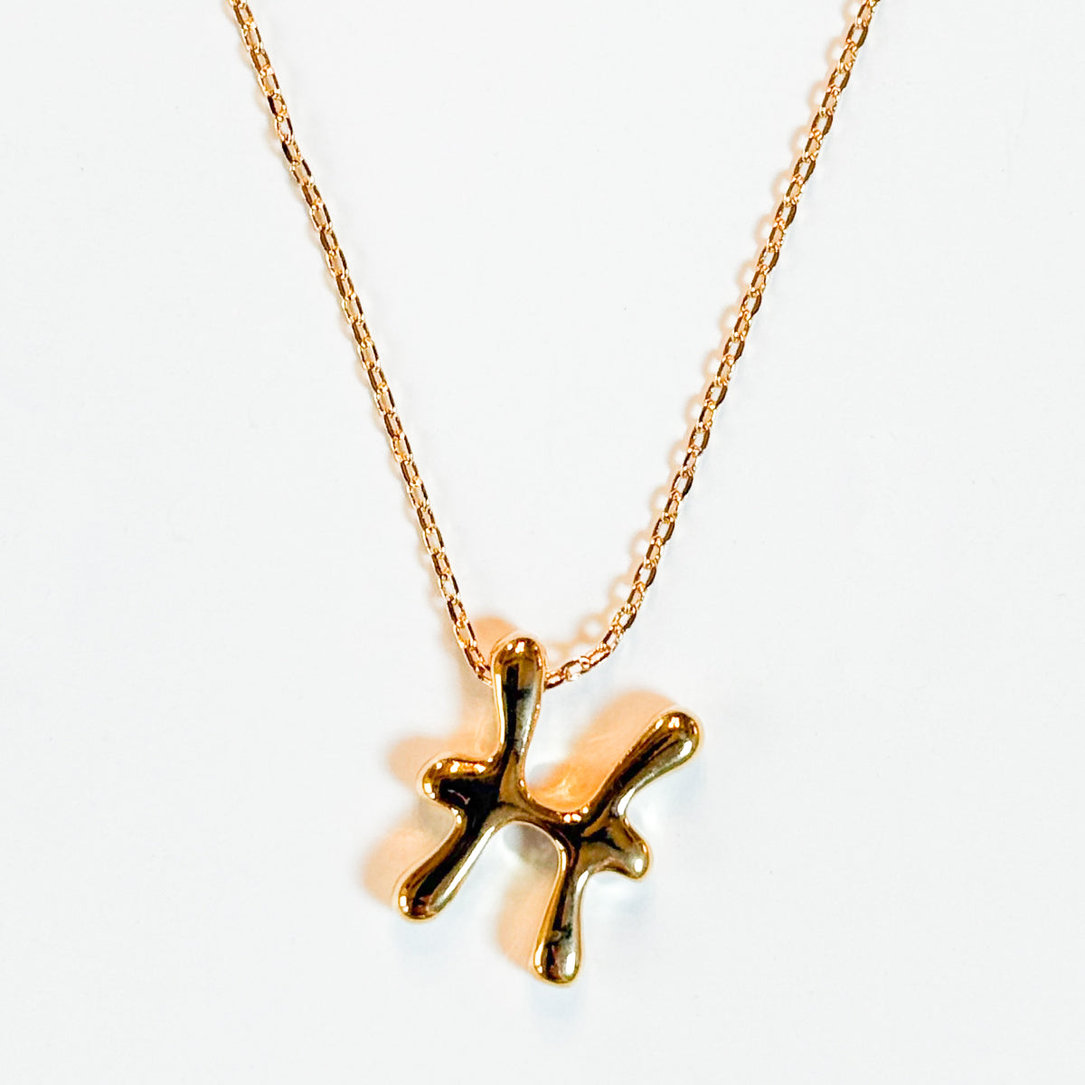Gold Dipped Zodiac Sign Pendant Necklace