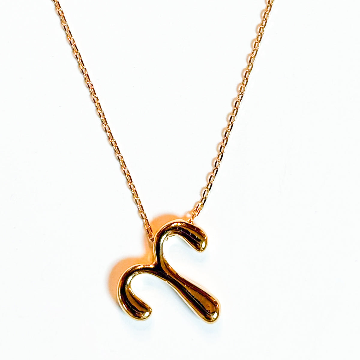 Gold Dipped Zodiac Sign Pendant Necklace