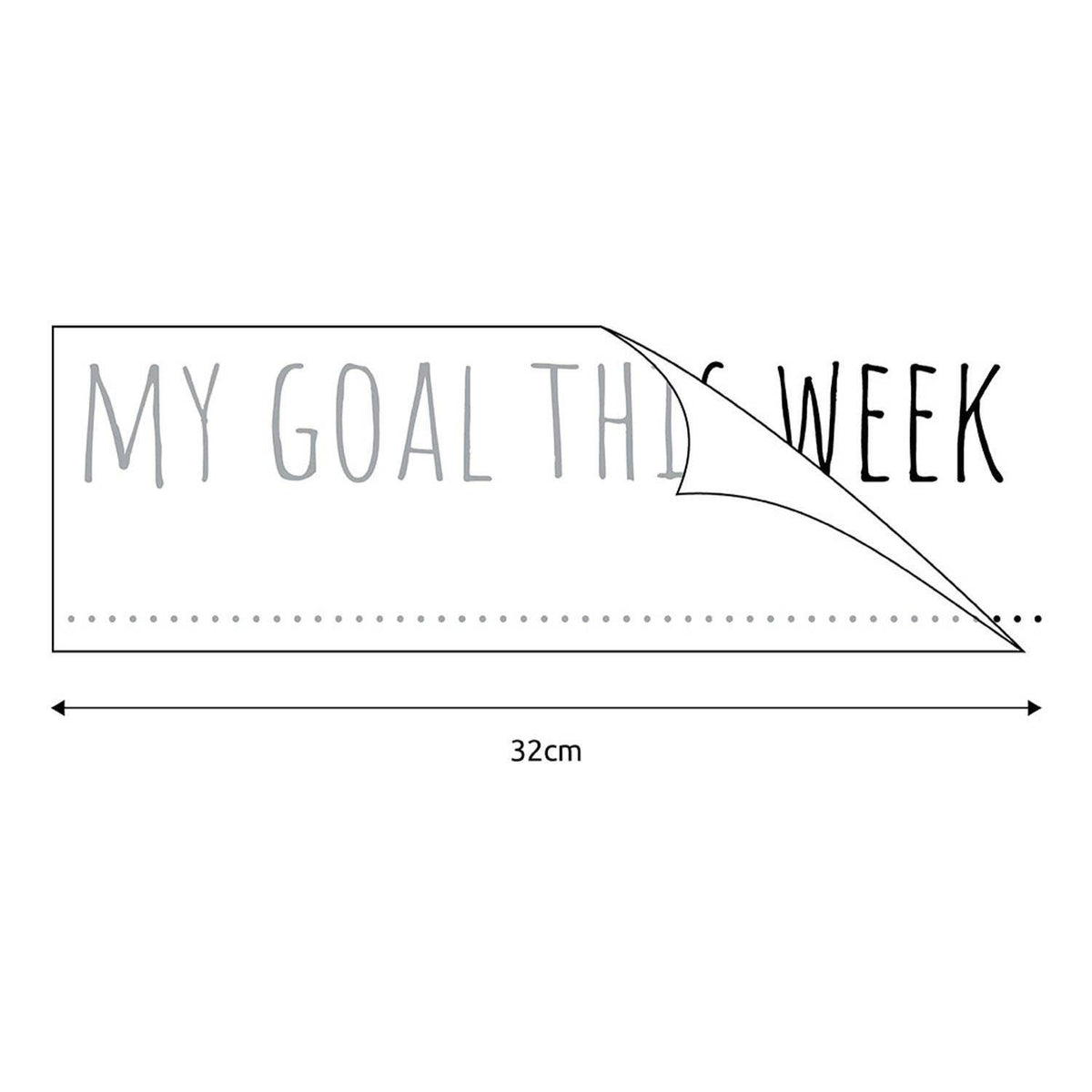 My Goal This Week' Mirror Sticker + Pen Vinyl Decal Kit