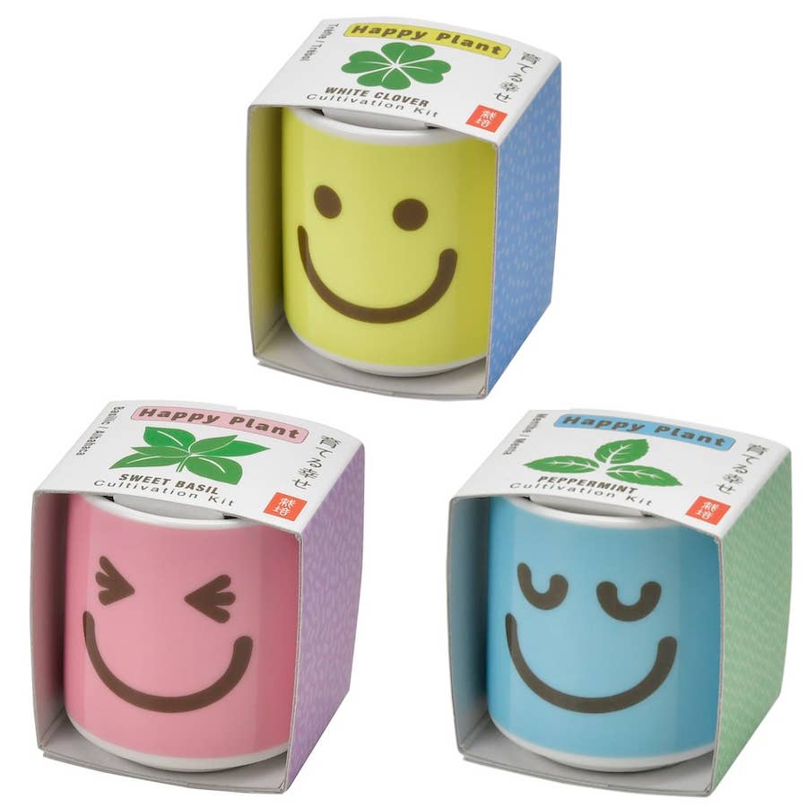 Happy Plant - Assorted 3 Styles