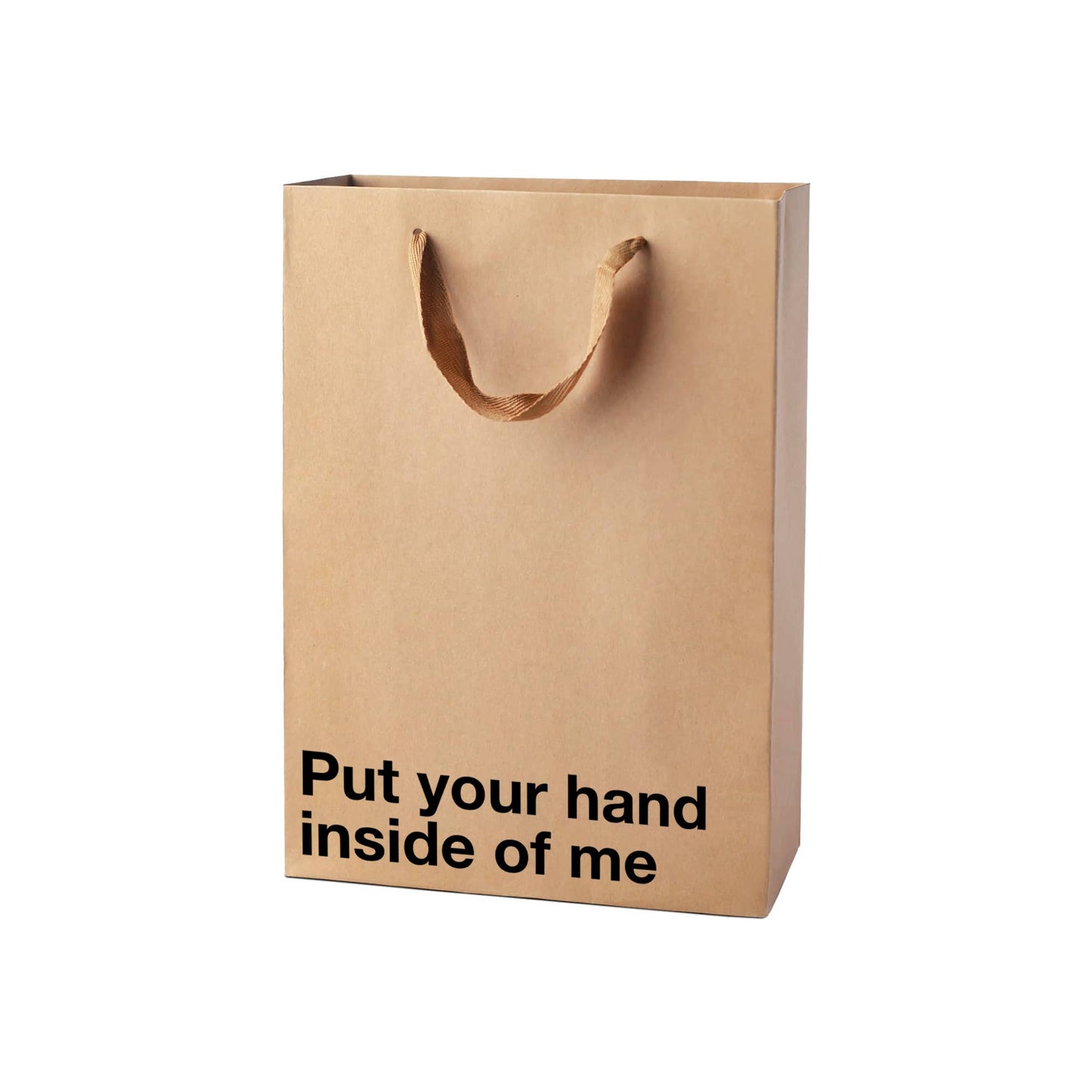 "Put your hand inside of me" Funny Gift Bag