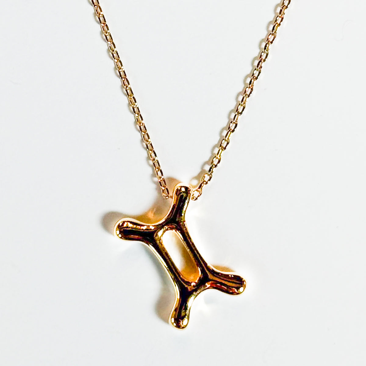 Gold Dipped Zodiac Sign Pendant Necklace