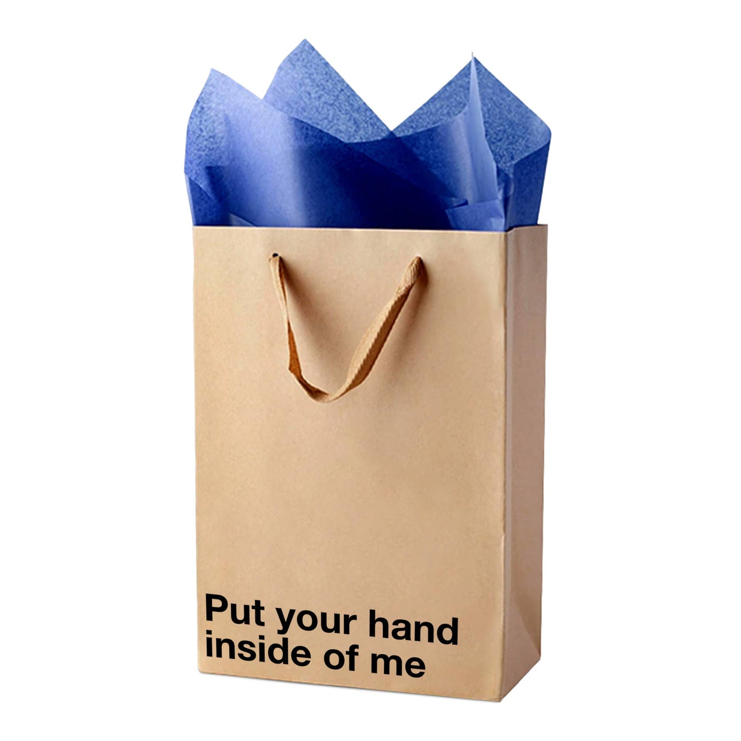 "Put your hand inside of me" Funny Gift Bag