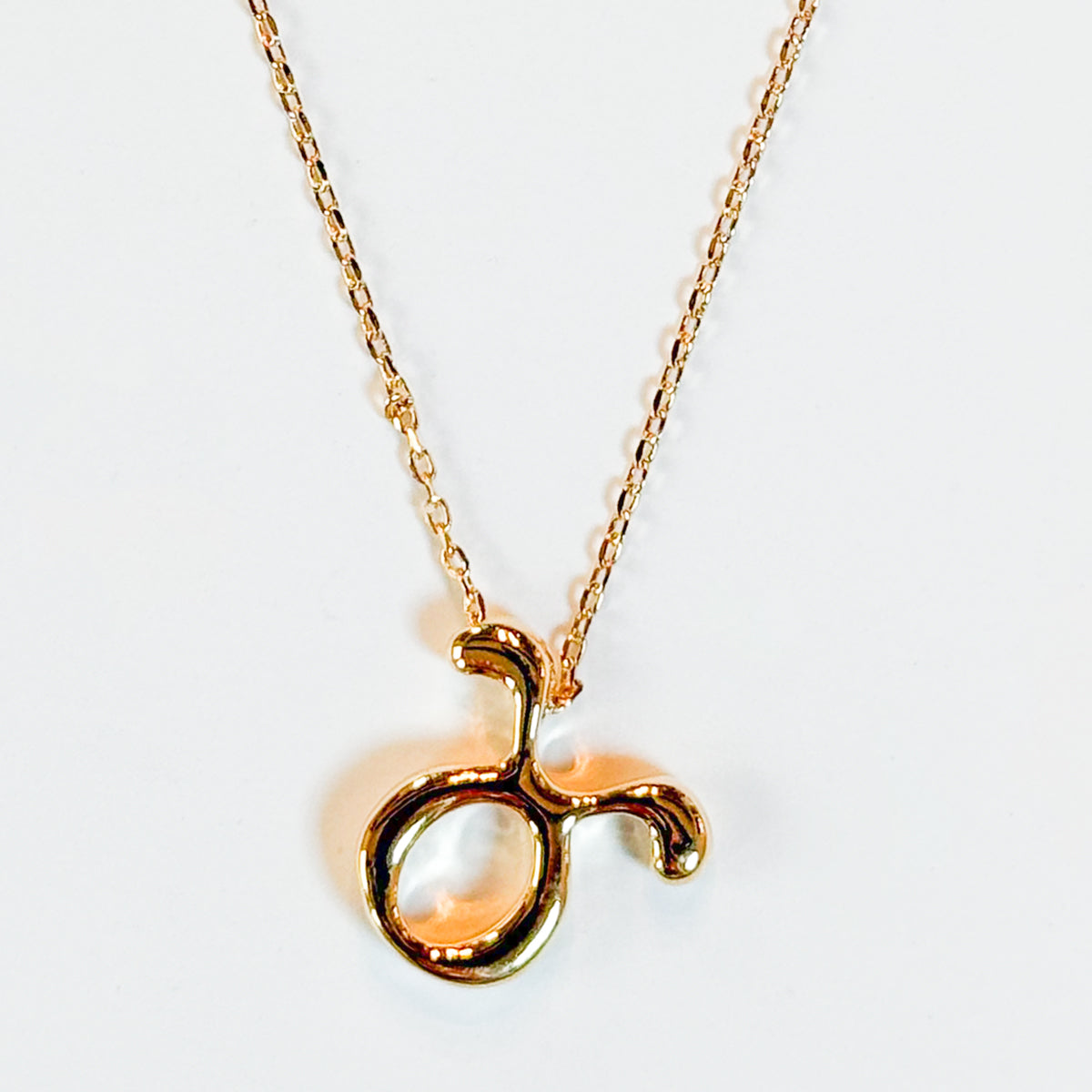 Gold Dipped Zodiac Sign Pendant Necklace