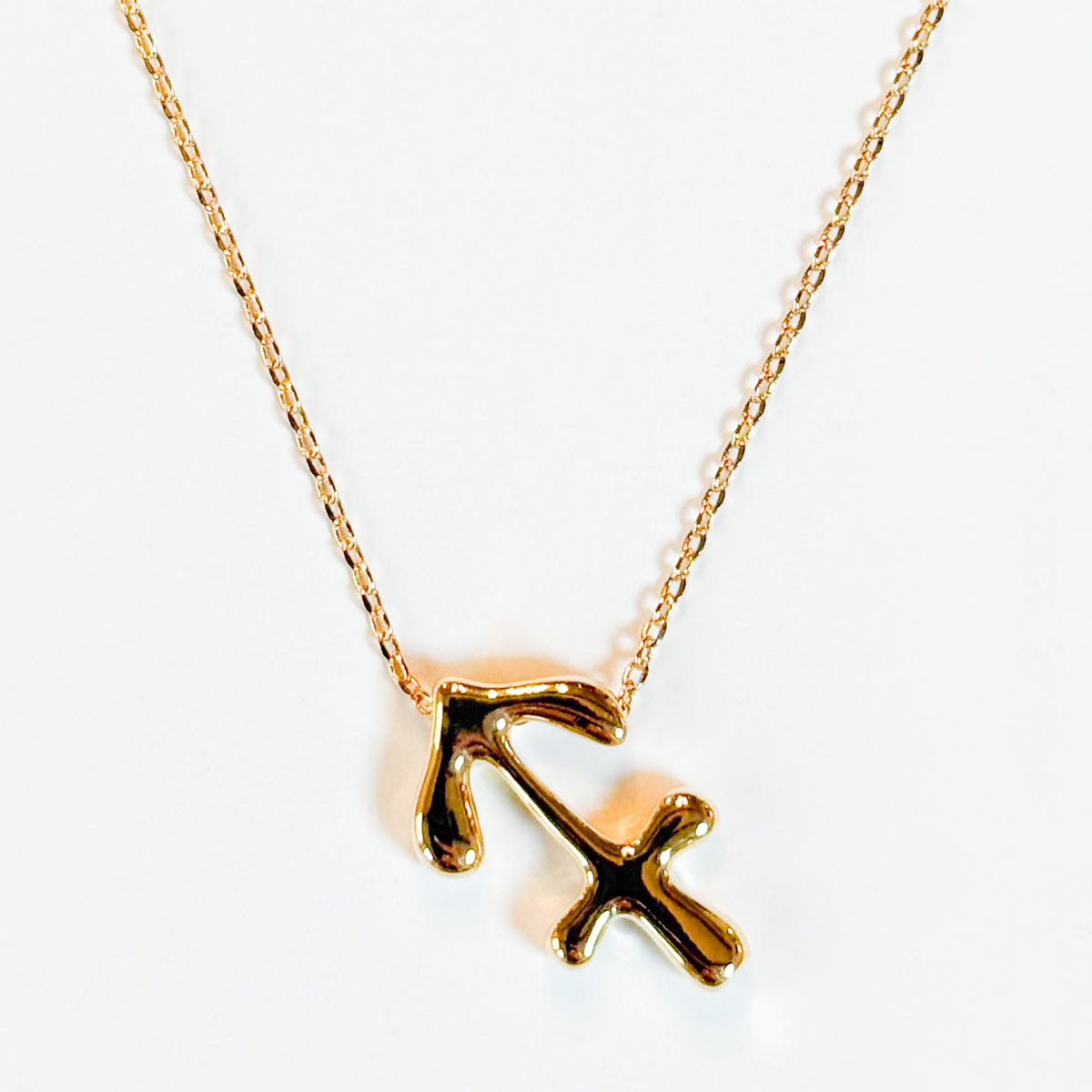 Gold Dipped Zodiac Sign Pendant Necklace