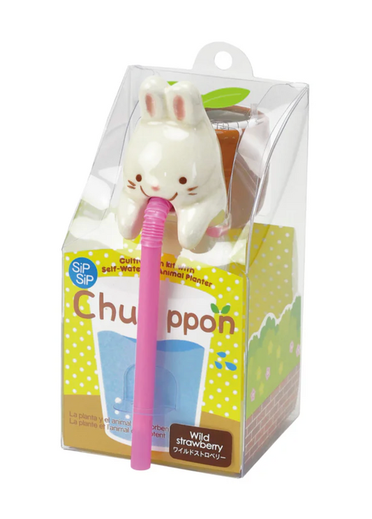 CHUPPON