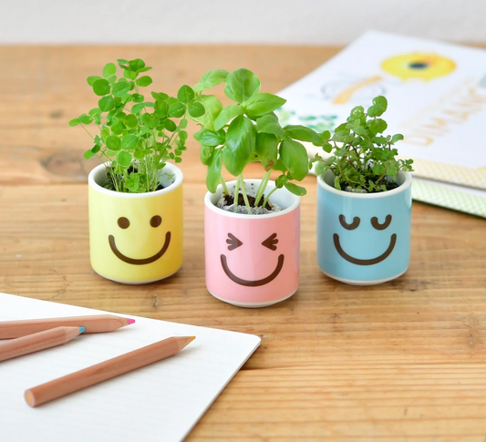 HAPPY PLANT