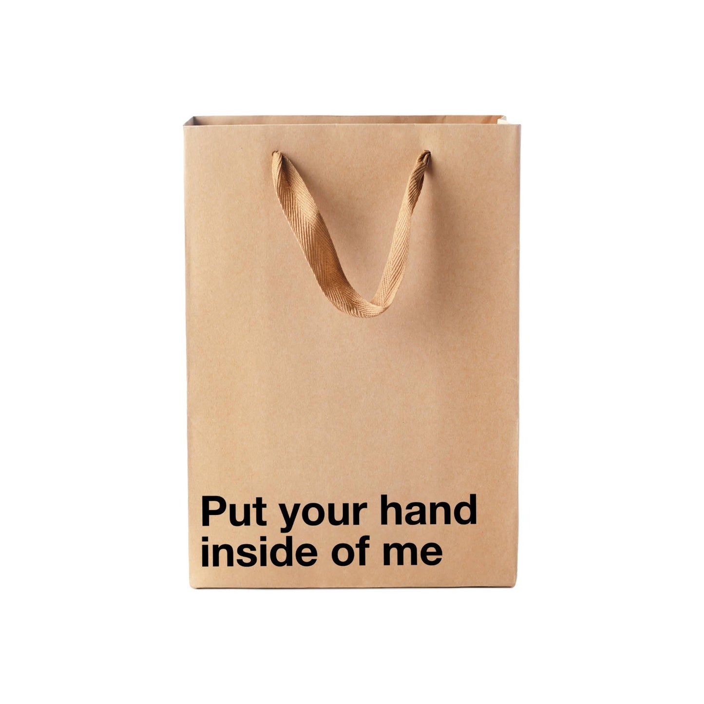 "Put your hand inside of me" Funny Gift Bag