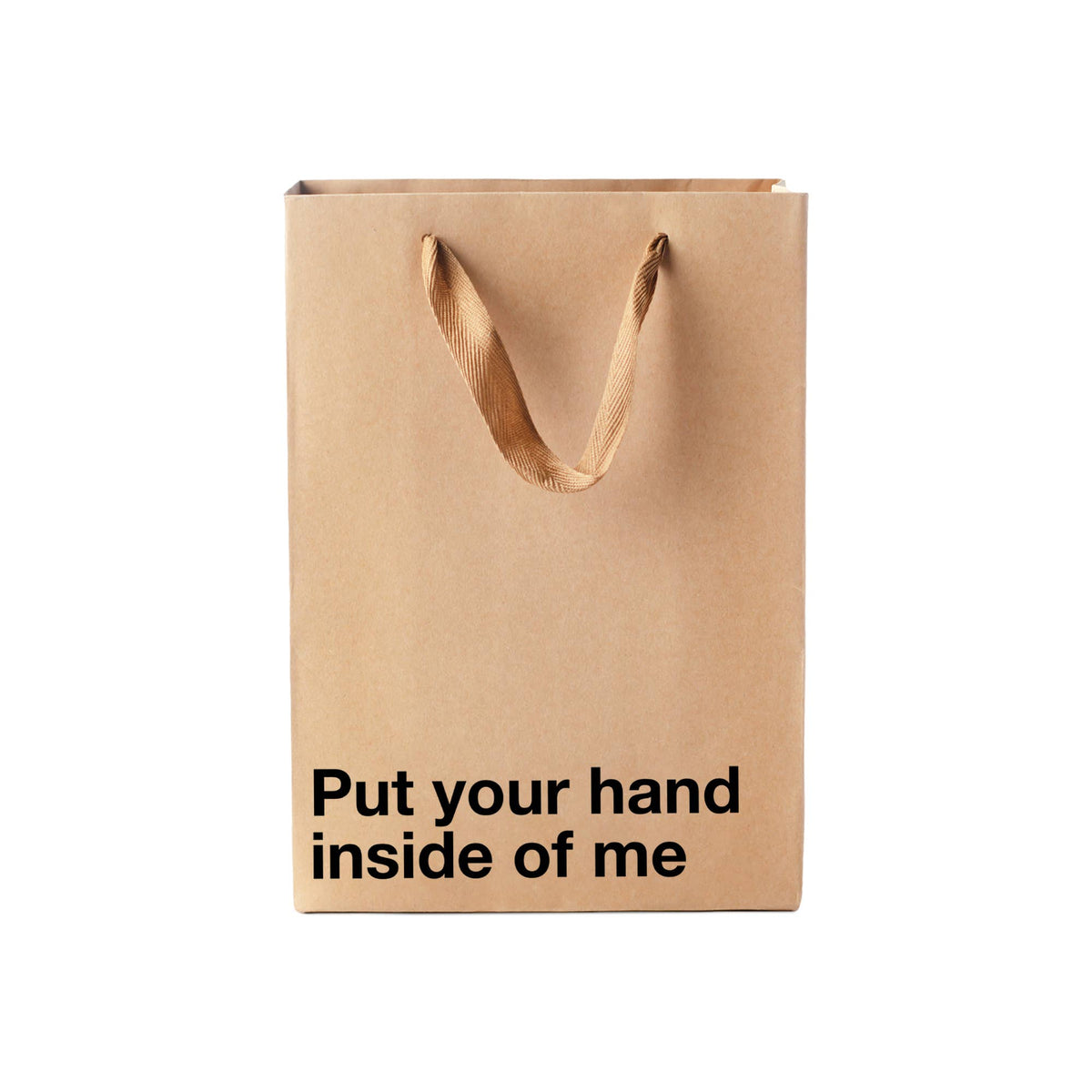 "Put your hand inside of me" Funny Gift Bag