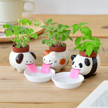 Peropon - Assorted 3 Colors/Styles