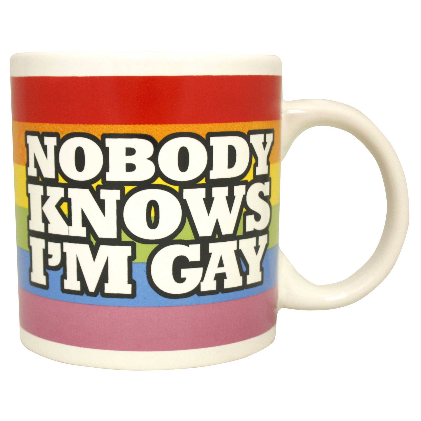 Giant 22 oz Nobody Knows I'm Gay Novelty Coffee Mug