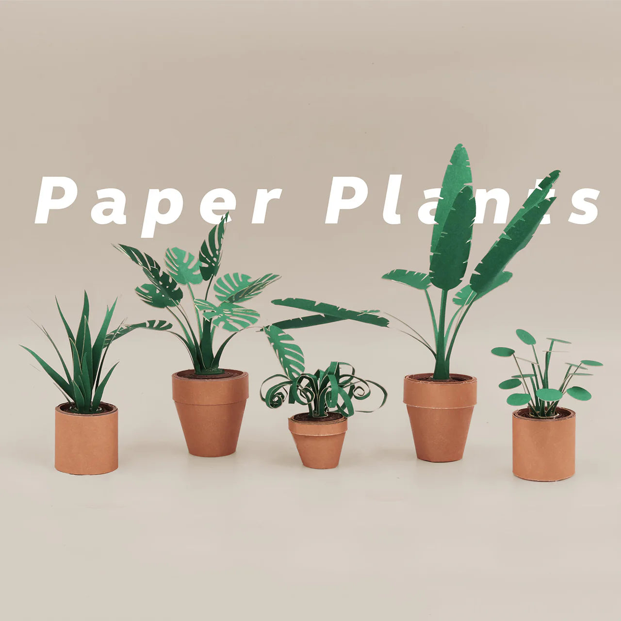 Paper Plants - Paper Craft Kit